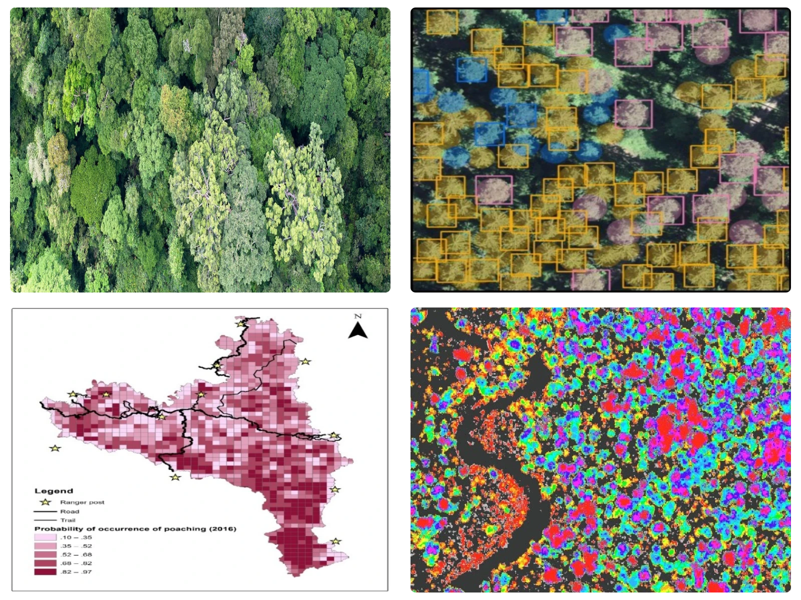 Mapping & Analytical DPR Services