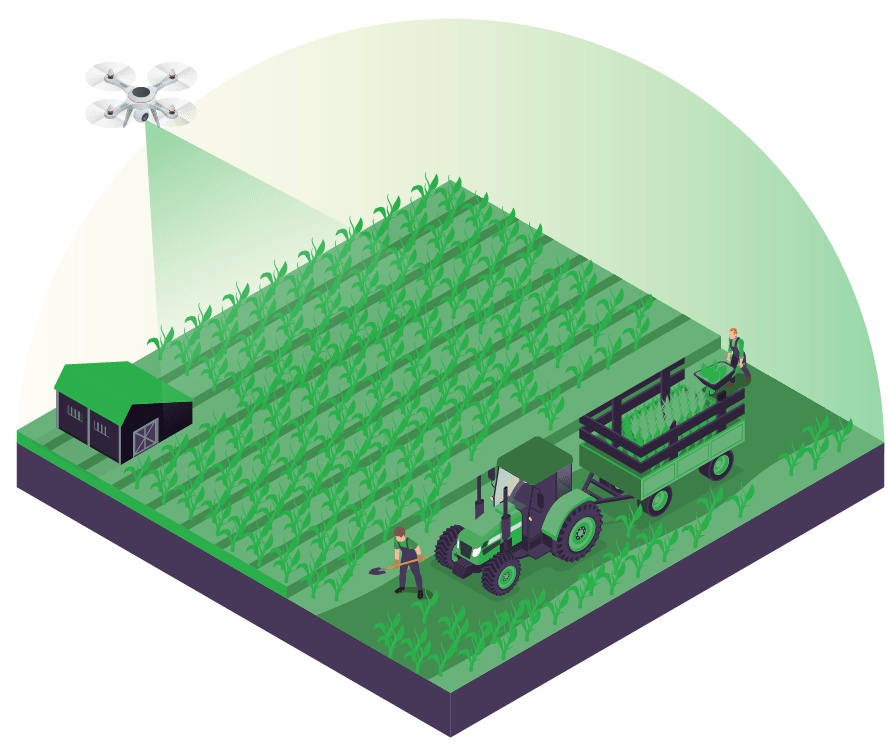 Forestry Survey